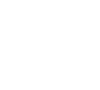 IN-DEPTH DOMAIN EXPERIENCE