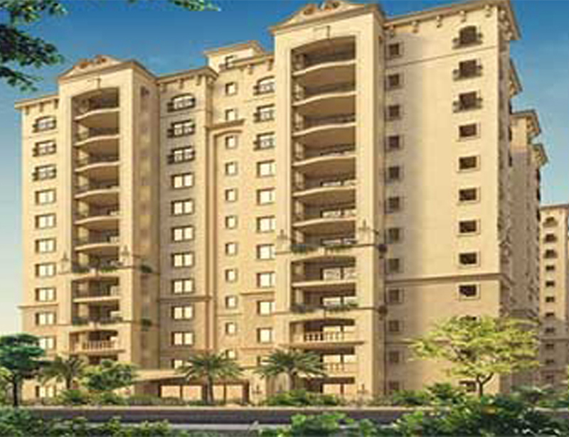 Legacy Saviero